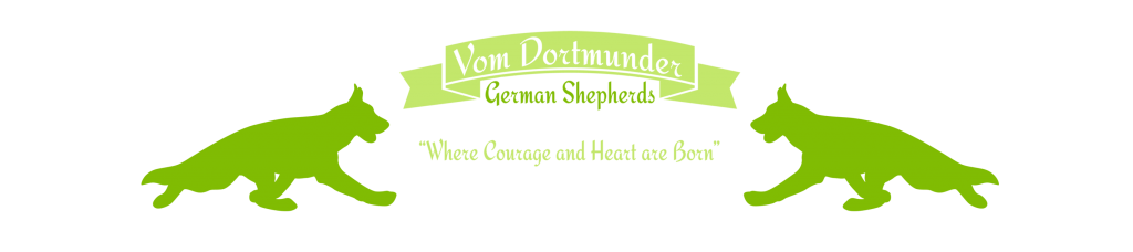 Vom Dortmunder German Shepherds