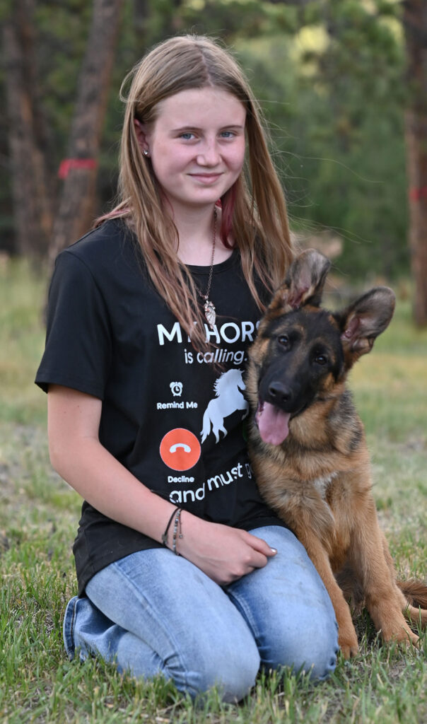 German shepherd female puppy near me